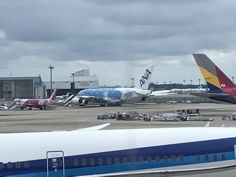 レストラン・フライングホヌを懐かしんで