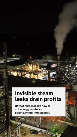 Understanding Steam Leaks and Traps