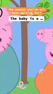 619K views · 35K reactions | You heard it here! Mummy and Daddy Pig are expecting a baby girl  And we simply CANNOT wait to meet her 凉 #LinkInBio and Stories to watch the full gender reveal, available exclusively on www.walmart.com/peppapig | Peppa Pig | Facebook