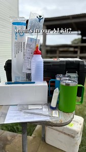 13 reactions |  퐖퐇퐀퐓’퐒 퐈퐍 퐎퐔퐑 퐀퐈 퐊퐈퐓 (and why it matters) Getting...