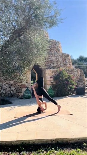 Yoga for Beginners ヨガ初心者 初学者瑜伽 प्रारम्भिक योग Yoga Pose ヨガのポーズ 瑜伽体式 आसन