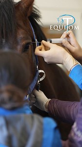 229K views · 1K reactions |  Headshaking partie 2 Après l’examen...