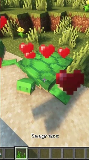 How to get a Turtle Shell