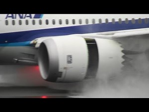 [B787 Close-up on Wet Runway] ANA 787-8 Dreamliner JA817A LANDING TOYAMA Airport 富山空港 2014.1.2