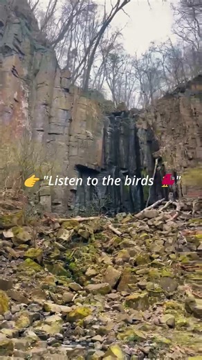 This Hidden Waterfall Will Calm Your Mind 🌿🐦 #nature #forestwhispers #ambience #peace #relaxing
