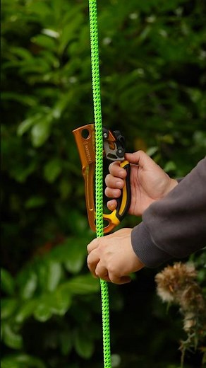 All the ascenders!!! Accessing the tree made easier. #ascender #arborist #treeclimbing