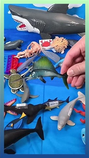 🚀 Ocean Speedsters: Marlin (68mph), Tuna, & Flying Fish FAST FACTS! #Shorts