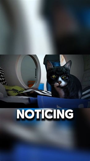 Cat Trapped Inside Washing Machine What Happened Will Shock You! . . #Cat #cats #ViralCat #fypシ #fypシ゚viralシ #CatLovers #fypシ゚viralシfypシ゚viralシalシ #catvideos | CinemaSage