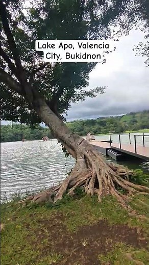 Lake Apo Valencia City | Bukidnon’s Best Tourist Attraction #bukidnon #travel #philippines #views