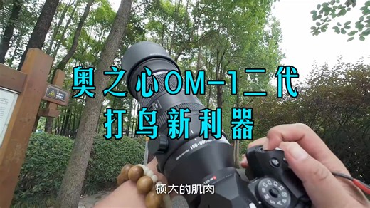 打工人打鸟新神器！奥之心OM-1二代亲测：120张连拍RAW，真·Z9平替来了