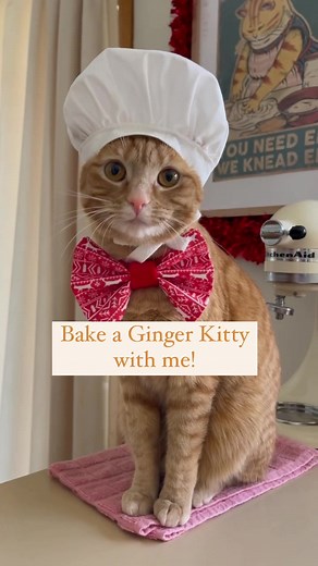 Homemade Gingerbread Cookie Recipe for Ginger Kitties