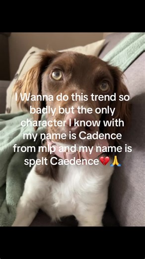 ITS NOT PRONOUNCED C-DENCE