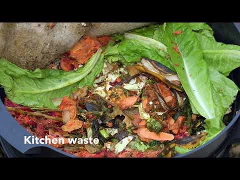 8 week time lapse of Wormery. Kitchen waste being turned into compost