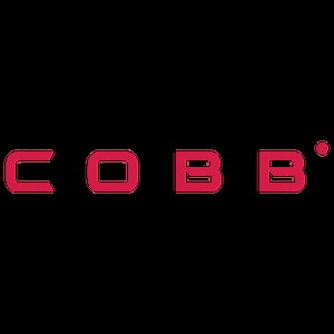 The COBB Family - Cobb Portable Braai