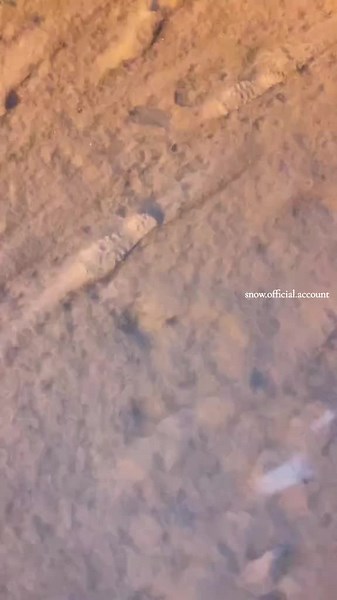 Sadly winter is over,but happy spring everybody👋🌸#snow #snow_official_account #spring