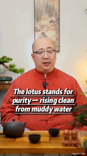 191K views · 935 reactions | Never put this one thing by your front door #videoviralシ #reelsfbシ #fbreelsfypシ゚ #reelsfypシ #fypシ #foryoupageシ #lifestyle #facebookviral #lucky #tips #wealth #money #blessed #koifish #lotus #FengShui #fengshuilifestyle #fengshuitips #family #home #life #energy | Feng Shui Tips | Facebook