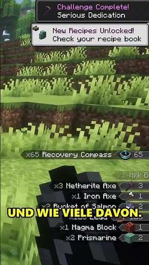 The BEST Minecraft Mods That ALMOST EVERYONE Forgets! #minecraft #mods #gaming #german