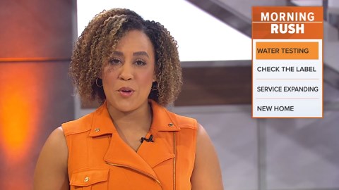 Officials working to understand what killed 100s of fish in a local pond