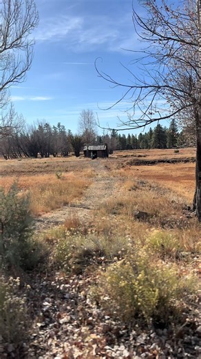 If you just want to unplug in nature but still sleep in a real bed and sip good coffee in the morning, I found the spot! 🌿 Backland is a luxury nature resort tucked away on 160 acres near the Grand Canyon. No city noise, no crowds, just pine trees, stars, and peace. It’s cozy, private, and one of my favorite Arizona spots. They’re open through the holidays (yes, even December!) so if you’re planning a winter getaway or want to surprise someone with a stay, this is your sign. ✨ Use code DRINKAZ 