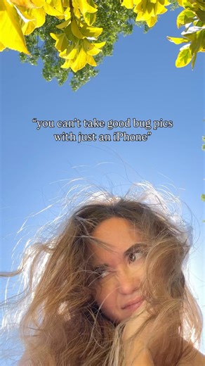 maya on Instagram: "I AM VERY PROUD OF MY BUG PHOTOS ACTUALLY🤳🐛🐜🦟🪲🪳🕷️🐞 Invertebrates rule our world. Bugs help us survive by playing lots of ecosystem roles like: 🐞Pollination Bees, moths, and many more bugs pollinate plants that keep our planet and our bellies thriving. 🐞Decomposition Isopods, cockroaches, and many more bugs help break down organic nutrients so we have soils that can grow healthy plants and food. They clean up after us (they deserve a thank u). 🐞Aeration Ants and ter