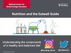 The Eatwell Guide - can you create a nutritionally balanced meal?