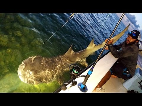 GIANT SHARK Almost Got Me!! | Monster Mike Fishing