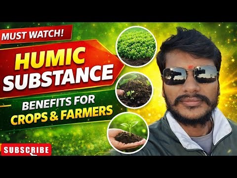 Humic Substance क्या है?Crop Growth, Soil Health & Yield Boost।फसल और मिट्टी के लिए रामबाण उपाय 🌱
