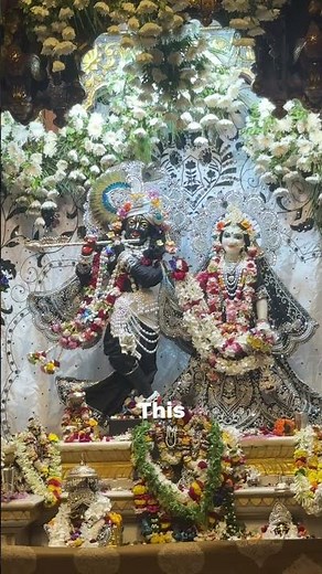 Blessed❤️. #shorts #foryou #explore #vrindavan #trending #aesthetic #viral #viralvideo #reels #love