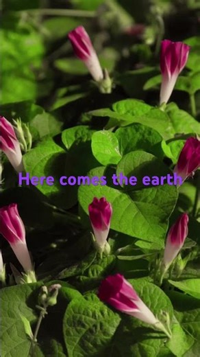 Rover by The MC2 Project #earth #explore #progressivehouse