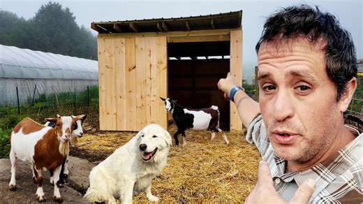 How I built a goat barn alone from start to finish