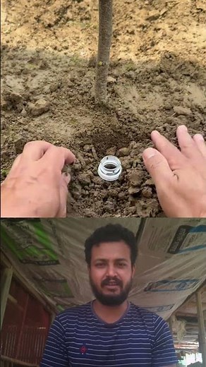 Ultimate Summer Plant Saving Hack! 🪵 #shorts #gardening