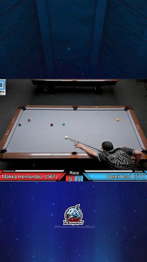 2 for 1 special on #thesharkstream | The Sharkstream