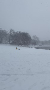 Name that GR sledding hill! Also, do you think we'll get enough snow for sledding?? (Here's our list of good sledding spots: https://grkids.com/sledding-hills-toboganning-michigan/) | Grand Rapids Kids