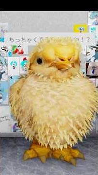 巨大ひよこの中から変なの出てきた #ロブロックス #インタビュー