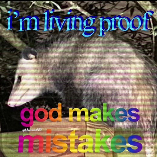 Chaotic Possum Memes and Relatable Mistakes