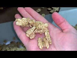 Walnut Shelling Line - AKY Technology