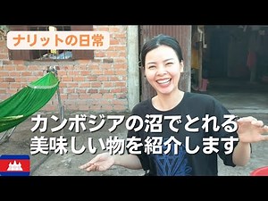 【皆さんにはすすめません】カンボジアの沼でとれる美味しい物を紹介します〈ナリットの日常〉