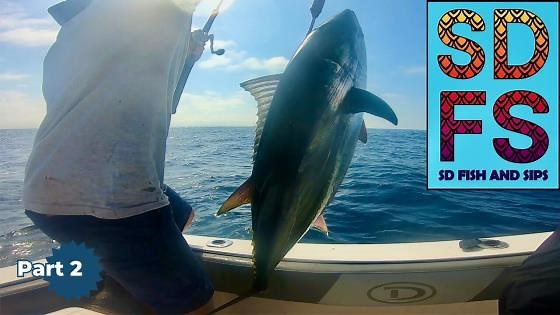 Wide Open Tuna Fishing — Yellowfin and Bluefin at San Diego 9 Mile Bank Part 2
