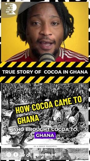The History of Cocoa in Ghana: A 1879 Journey