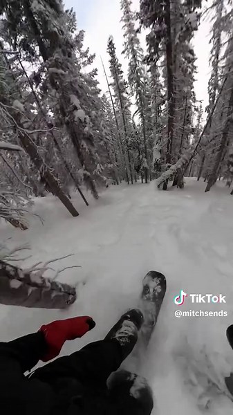 Beginner's Guide to Snowboarding in Colorado's Backcountry