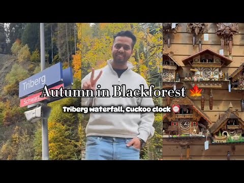 Budget Day Trip with Deutschland Ticket | Is Triberg Worth Visiting? I Germany’s Scenic Escape! I