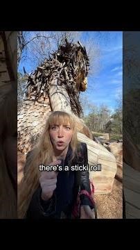 Stickers HIDDEN in a Park?! 😱