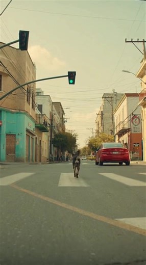 Only legends surviving this level of madness! 🤪 Drop a 🔥 if you're still watching till the end! 👇 Tag your loco squad – no mercy! 😈 #LocoMoments #CantStopLaughing #Viral #Funny #EpicFail #Comedy #Relatable #Trending #FYP #Explore #Reels #Laugh #LOL #ViralVideos #Humor | Loco Moments