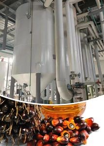 [Hot Item] Automatic Palm Oil Extraction Production Line / Palm Oil Refining Machine
