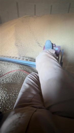 Cleaning Grain Bins: Efficient Tips for Farmers