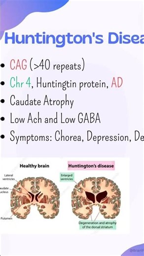 CC series: Pathology: Trinucleotide Repeat Disorders: #mbbs #neetpg #inicet #pathology #genetics
