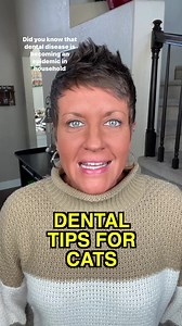 11K views · 367 reactions | Cat Tip of the Day: How do you care for your cats’ teeth? | The Two Crazy Cat Ladies | Facebook