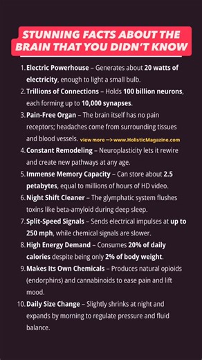 STUNNING FACTS ABOUT THE BRAIN THAT YOU DIDN’T KNOW #holisticmagazine | Holistic Magazine