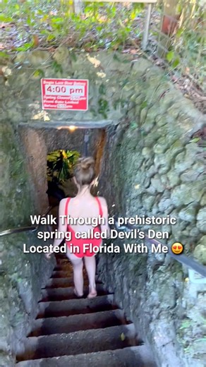 338K views · 1.7K reactions | Devil’s Den is one of the coolest hidden gems in Florida that you must visit! #floridavacation #familyvacation #familytravel #floridatravel #floridaliving #floridasprings #devilsden #cenote #cenotevibes | Florida Trippers | Facebook