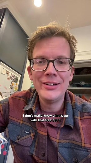 Exploring Tree Branches and Happiness